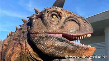 Vijftig dinosaurussen bezoeken binnenkort Pulderbos
