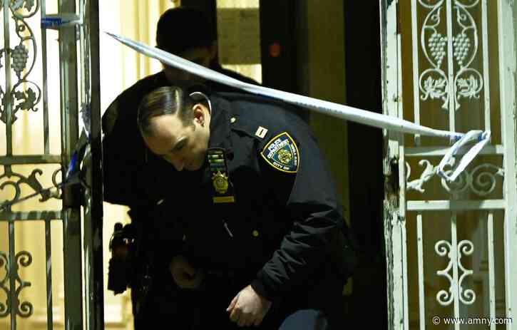 Bronx woman found shot to death inside her home in borough’s second murder of day