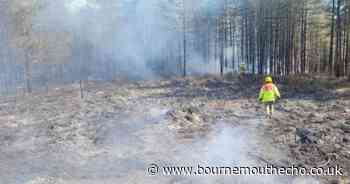 Moors Valley remains closed following a "number of fires"