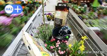 Frühling, erwache! Das große Warten auf den Ansturm der Balkon- und Gartenfans