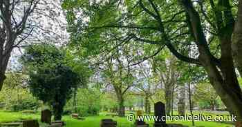 Historic Newcastle cemeteries in line for revamp thanks to National Lottery funding