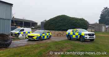 Cambridgeshire alpaca shooting sees £2.5k reward for information leading to 'thugs'