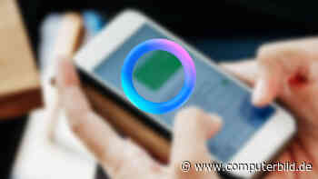 Meta AI aus WhatsApp entfernen? Das können Sie gegen die Meta-KI in der Chat-App tun