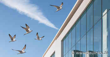 Vogelschutz mit neuer Folien-Technologie von Haverkamp