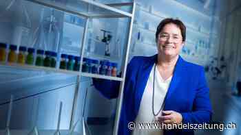 Geldsegen dank Dividenden – wer profitiert am meisten?