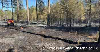 Moors Valley to remain closed following a "number of fires"