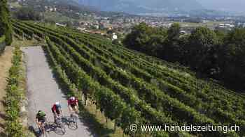 Es herrscht Katerstimmung unter den Velopionieren