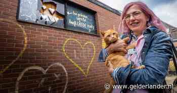 ‘Uw huis gaat plat, u heeft drie maanden’: Ko (54) moet plots weg uit haar woning. En nu?