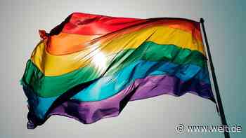 Jetzt erreicht Trumps Kampf gegen Wokeness auch die deutschen Unternehmen