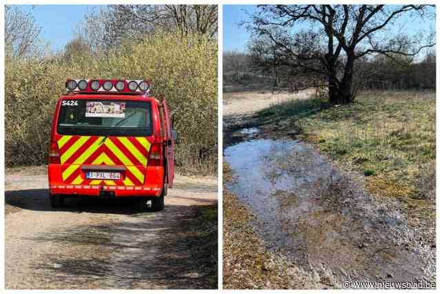 Vandalen stichten brandje in duinen: “Grote risico’s met deze droogte”