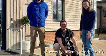 Couple make 1,000-mile round trip to save rescue dog's life