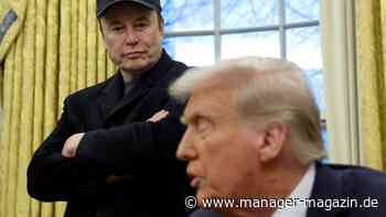 Elon Musk angeblich vor Abschied aus dem Trump-Team