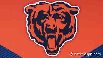 Bears shift tone, expand options for stadium site