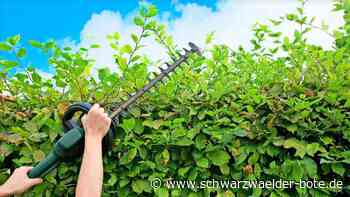 Online-Projekt Hilver startet: Nachbarschaftshilfe in Enzklösterle zeitgemäß organisieren