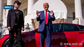 Wie groß ist der Musk-Effekt? Das sind die Gründe für das Tesla-Desaster