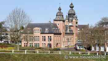 Duffelse gemeenteraad keurt nieuw participatiereglement goed, Groen spreekt van gemiste kansen