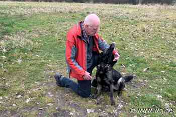 Stadt kündigt Hundesportplatz – und dann passiert nichts