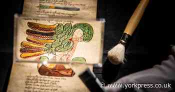 'The mystery is just beginning': 500 year old medieval scroll found in York shoebox