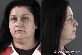 Cheyenne Woman Charged With 4 Counts of Felony Theft