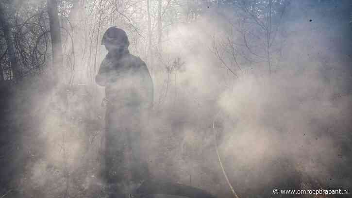 Brandweer rukt met groot materieel uit voor bosbrand in Budel