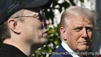 Elon Musk: Vom Trump-Kumpel zur politischen Hypothek