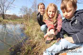 Kröten können gefahrlos wandern