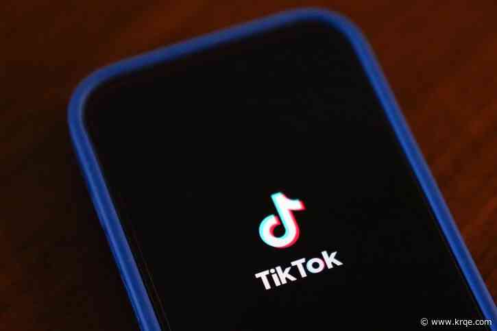 Amazon's last-minute bid for TikTok comes days before US ban on the platform