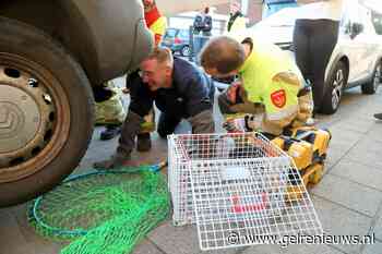 Brandweer redt vastzittende kat in auto