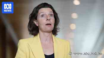 Spender says Coalition's gas plan could influence hung parliament negotiations