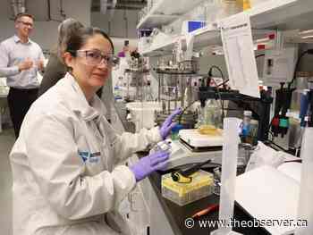 Lambton College celebrates centres providing research for businesses