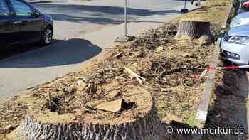 Kritik am Hin und Her im Stadtrat: „Bedenken bremsen immer wieder den Klimaschutz aus“