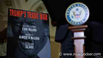 Trump legt wereldwijde importtarieven op, heffing van 20 procent op producten uit EU