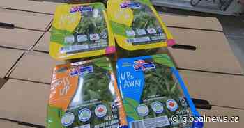 Amid U.S. trade war, local sales are looking UP for one B.C. farmer