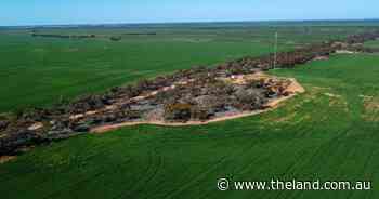 DIY on-farm connectivity; how farmers are fixing blackspots themselves