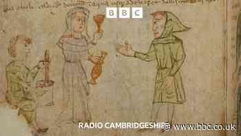 Weasel testicles and other medieval remedies