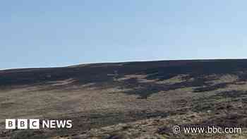 Don't use 999 to report grass fires, people told