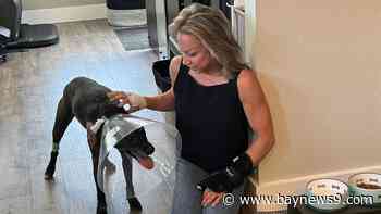 Tampa dog mom saves pet from alligator's grip