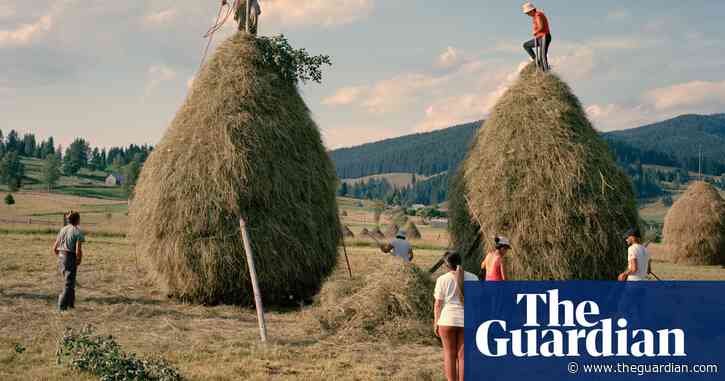Big, biodiverse and beautiful: can Romania’s centuries-old giant haystacks survive modern farming?