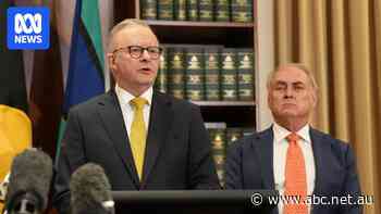 Albanese outlines five-point plan to respond to Trump's tariffs