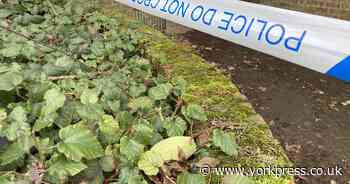 Two fires started deliberately in York playground