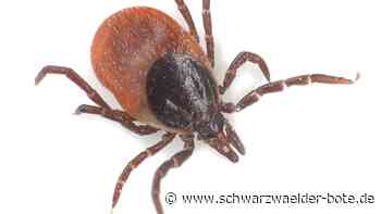 Auch im Kreis Calw: Darum sind Zecken immer früher dran