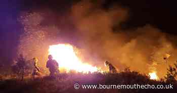 LIVE: Huge fires on Upton Heath and Canford Heath overnight