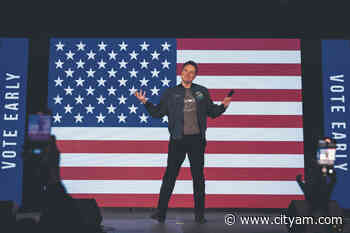 Tesla pays the price for Elon Musk&amp;#8217;s politics