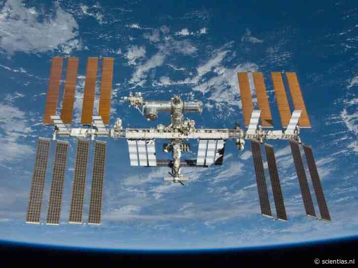 Wetenschappers schieten ‘miso in wording’ de ruimte in en ontdekken dat dat geen gek idee is