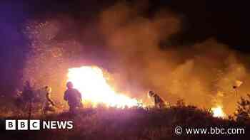 Firefighters tackle heath fires at nature reserves