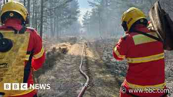 Country park to remain closed after wildfires