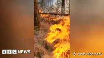 Wildfire at country park filmed by firefighters