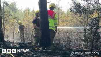 Further wildfire hotspots tackled at country park