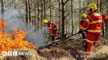 Country park closed again after second forest fire