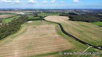 Developers convert Kent arable farm to 'nature-rich Habitat Bank'